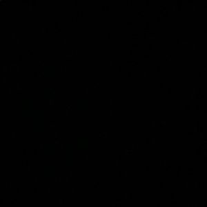 Meet your Posher, Kylie